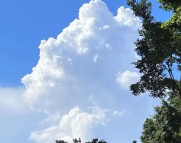 乐东天气预报,乐东7天天气预报,乐东15天天气预报,乐东天气查询